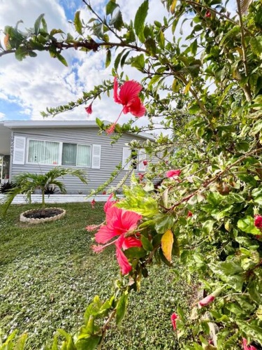 19243 Meadowbrook Ct., North Fort Myers, Florida 33903, 2 Bedrooms Bedrooms, ,2 BathroomsBathrooms,Mobile/manufactured,For Sale,Meadowbrook Ct.,11365752