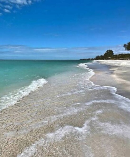 238 Jacaranda Cir, Venice, Florida 34285, 2 Bedrooms Bedrooms, ,1 BathroomBathrooms,Mobile/manufactured,For Sale,Jacaranda Cir,11232267