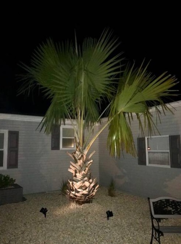 19451 Ravines Ct., North Fort Myers, Florida 33903, 2 Bedrooms Bedrooms, ,2 BathroomsBathrooms,Mobile/manufactured,For Sale,Ravines Ct.,11364968