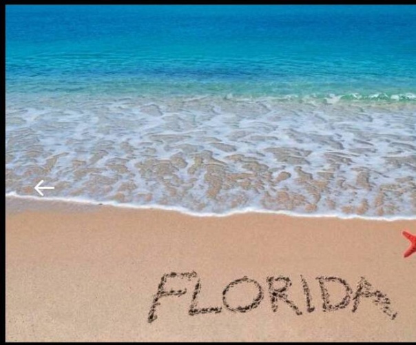8705 South Tamiami Tr Lot 97 4th St, Sarasota, Florida 34238, 1 Bedroom Bedrooms, ,1 BathroomBathrooms,Mobile/manufactured,For Sale,South Tamiami Tr Lot 97 4th St,11400058