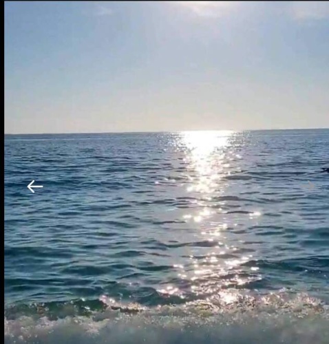 62 La Costa, Nokomis, Florida 34275, 2 Bedrooms Bedrooms, ,2 BathroomsBathrooms,Mobile/manufactured,For Sale,La Costa,11471806