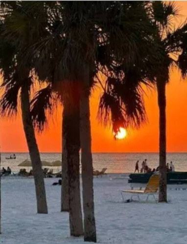 8705 S Tamiami Tr, 1st lot 43, Sarasota, Florida 34238, 1 Bedroom Bedrooms, ,1 BathroomBathrooms,Mobile/manufactured,For Sale,S Tamiami Tr, 1st lot 43,11348134