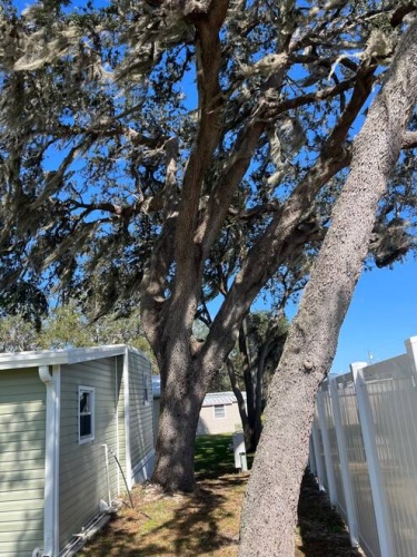 3048 Bolin Lane, Sebring, Florida 33870, 2 Bedrooms Bedrooms, ,2 BathroomsBathrooms,Mobile/manufactured,For Sale,Bolin Lane,11220429