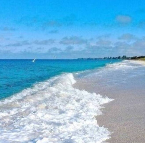8705 S Tamiami Tr on 2nd St. Lot 63, Sarasota, Florida 34238, 1 Bedroom Bedrooms, ,1 BathroomBathrooms,Mobile/manufactured,For Sale,S Tamiami Tr on 2nd St. Lot 63,11462357