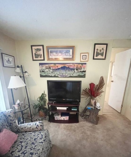 3039 Vine Lane, Sebring, Florida 33870, 2 Bedrooms Bedrooms, ,1 BathroomBathrooms,Mobile/manufactured,For Sale,Vine Lane,11482593