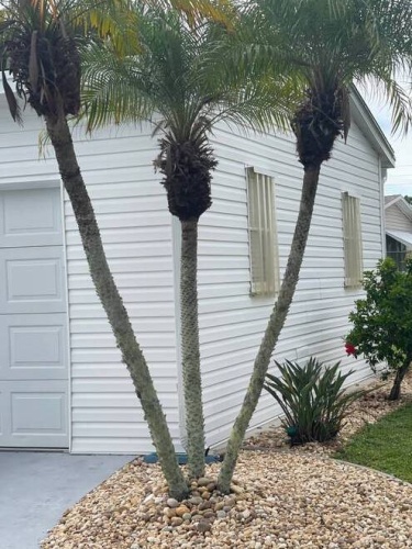 29200 Jones Loop Rd, Punta Gorda, Florida 33950, 2 Bedrooms Bedrooms, ,2 BathroomsBathrooms,Mobile/manufactured,For Sale,Jones Loop Rd,11570524