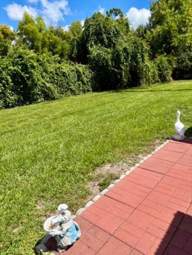8 Dron, Fort Myers, Florida 33908, 2 Bedrooms Bedrooms, ,2 BathroomsBathrooms,Mobile/manufactured,For Sale,Dron,11578116