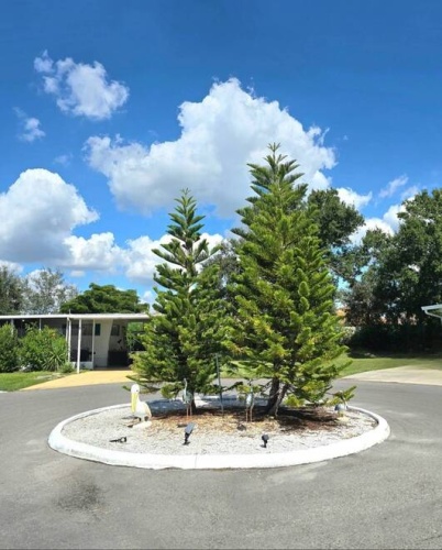 371 11th Street, Nokomis, Florida 34275, 2 Bedrooms Bedrooms, ,2 BathroomsBathrooms,Mobile/manufactured,For Sale,11th Street,11592733