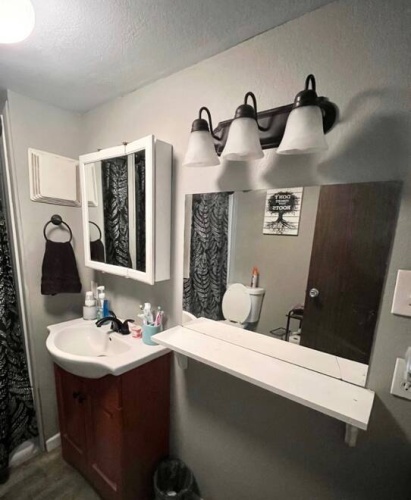 981 Ulmer Road, Frostproof, Florida 33843, 1 Bedroom Bedrooms, ,1 BathroomBathrooms,Mobile/manufactured,For Sale,Ulmer Road,11611623