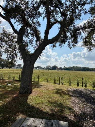 981 Ulmer Road, Frostproof, Florida 33843, 1 Bedroom Bedrooms, ,1 BathroomBathrooms,Mobile/manufactured,For Sale,Ulmer Road,11611623