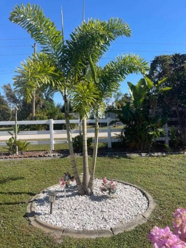 29200 Jones Loop Rd #139, Punta Gorda, Florida 33950, 3 Bedrooms Bedrooms, ,2 BathroomsBathrooms,Mobile/manufactured,For Sale,Jones Loop Rd #139,11613507