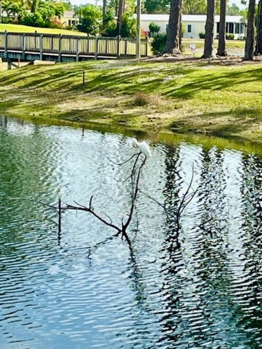 19316 Cedar Crest Ct., North Fort Myers, Florida 33903, 2 Bedrooms Bedrooms, ,3 BathroomsBathrooms,Mobile/manufactured,For Sale,Cedar Crest Ct.,11618408