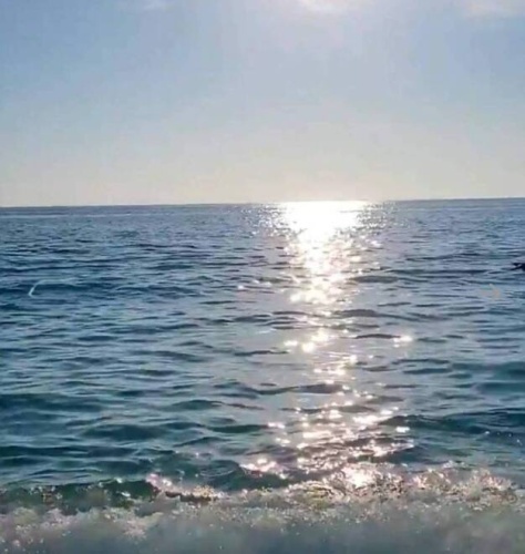 100 Captiva St, Nokomis, Florida 34275, 2 Bedrooms Bedrooms, 5 Rooms Rooms,2 BathroomsBathrooms,Mobile/manufactured,For Sale,Captiva St,11651303