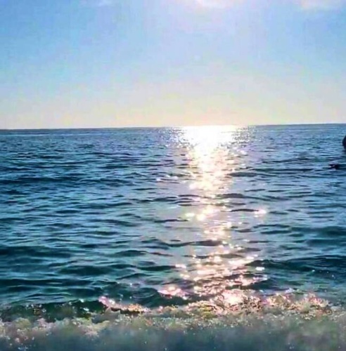 170 Sanibel St, Nokomis, Florida 34275, 2 Bedrooms Bedrooms, ,2 BathroomsBathrooms,Mobile/manufactured,For Sale,Sanibel St,11530265