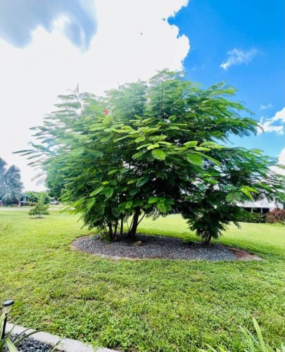 19196 MEADOWBROOK CT, NORTH FORT MYERS, Florida 33903, 2 Bedrooms Bedrooms, ,2 BathroomsBathrooms,Mobile/manufactured,For Sale,MEADOWBROOK CT,11583184
