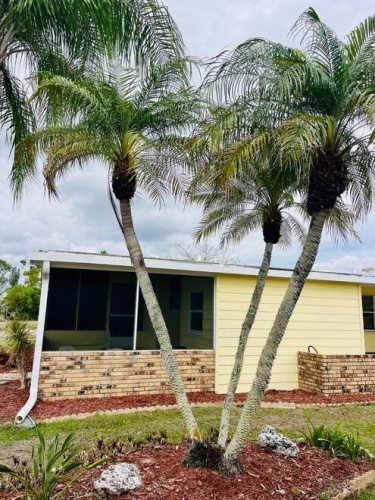 19279 Meadowbrook Ct., North Fort Myers, Florida 33903, 2 Bedrooms Bedrooms, ,2 BathroomsBathrooms,Mobile/manufactured,For Sale,Meadowbrook Ct.,11675798