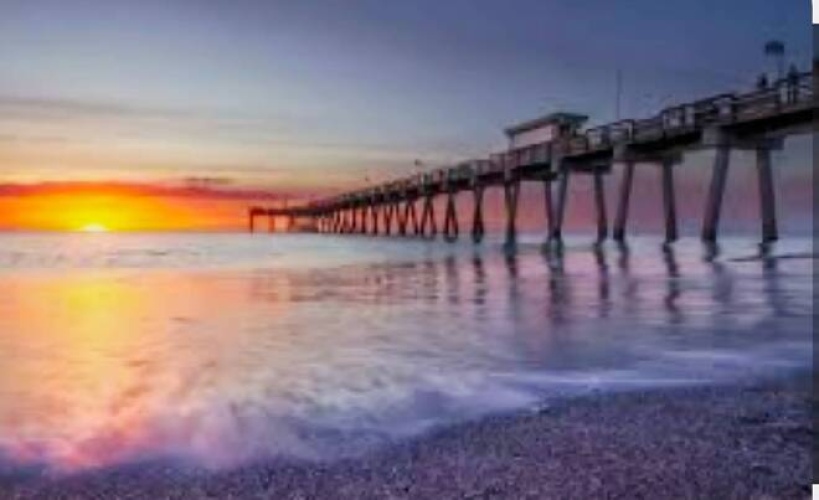 240 Allamanda Circle, Venice, Florida 34285, 2 Bedrooms Bedrooms, ,2 BathroomsBathrooms,Mobile/manufactured,For Sale,Allamanda Circle,11677850