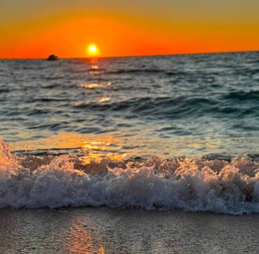 240 Allamanda Circle, Venice, Florida 34285, 2 Bedrooms Bedrooms, ,2 BathroomsBathrooms,Mobile/manufactured,For Sale,Allamanda Circle,11677850