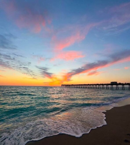 240 Allamanda Circle, Venice, Florida 34285, 2 Bedrooms Bedrooms, ,2 BathroomsBathrooms,Mobile/manufactured,For Sale,Allamanda Circle,11677850