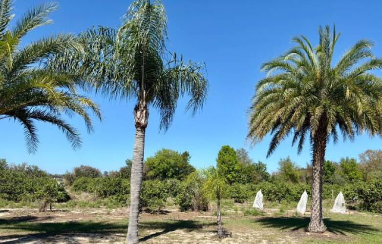 2752 Cactus Lane, Sebring, Florida 33870, 1 Bedroom Bedrooms, ,1 BathroomBathrooms,Mobile/manufactured,For Sale,Cactus Lane,11678014