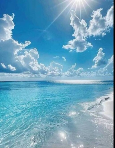 28 Bliss Rd, Venice, Florida 34285, 2 Bedrooms Bedrooms, ,2 BathroomsBathrooms,Mobile/manufactured,For Sale,Bliss Rd,11681241