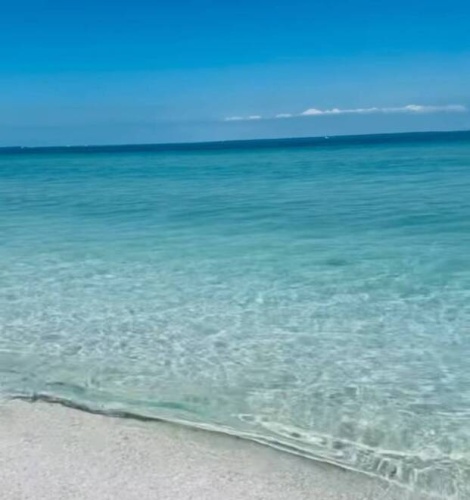 8705 S Tamiami Trail 2nd St, Sarasota, Florida 34238, 1 Bedroom Bedrooms, ,1 BathroomBathrooms,Mobile/manufactured,For Sale,S Tamiami Trail 2nd St,11683944