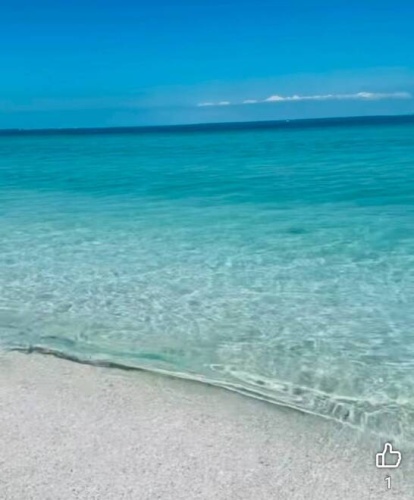 8705 S Tamiami Trail 2nd St, Sarasota, Florida 34238, 1 Bedroom Bedrooms, ,1 BathroomBathrooms,Mobile/manufactured,For Sale,S Tamiami Trail 2nd St,11683944