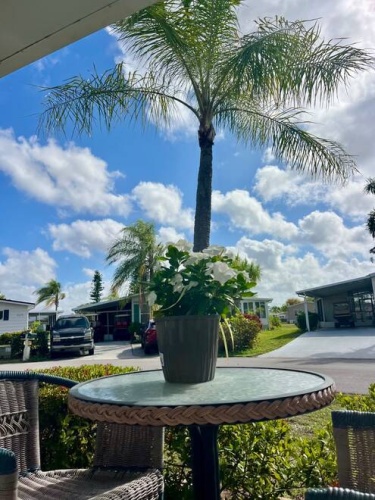 19172 Harbor Tree Ct., North Fort Myers, Florida 33903, 2 Bedrooms Bedrooms, ,2 BathroomsBathrooms,Mobile/manufactured,For Sale,Harbor Tree Ct.,11685464