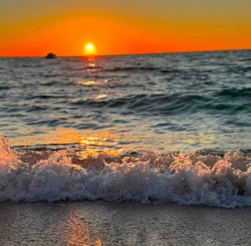 118 Bay St, Venice, Florida 34285, 2 Bedrooms Bedrooms, ,1 BathroomBathrooms,Mobile/manufactured,For Sale,Bay St,11690271