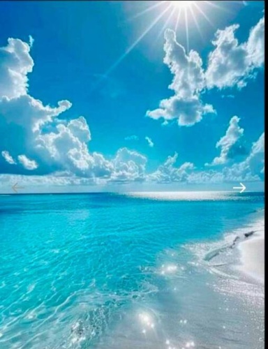 118 Bay St, Venice, Florida 34285, 2 Bedrooms Bedrooms, ,1 BathroomBathrooms,Mobile/manufactured,For Sale,Bay St,11690271