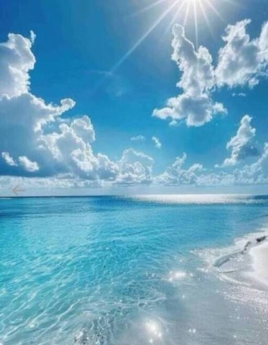 154 Sanibel St, Nokomis, Florida 34275, 2 Bedrooms Bedrooms, ,2 BathroomsBathrooms,Mobile/manufactured,For Sale,Sanibel St,11692445