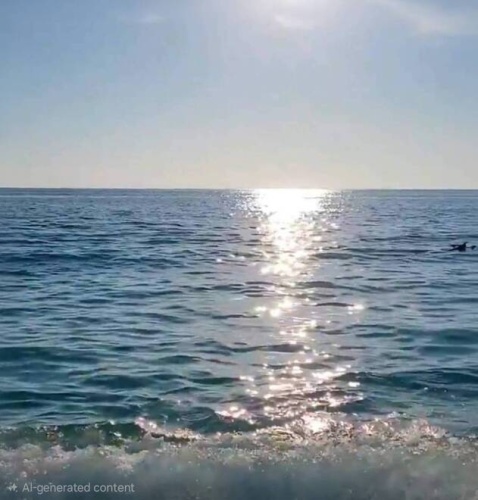 154 Sanibel St, Nokomis, Florida 34275, 2 Bedrooms Bedrooms, ,2 BathroomsBathrooms,Mobile/manufactured,For Sale,Sanibel St,11692445