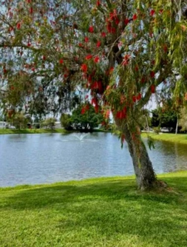 131 5th St West, Nokomis, Florida 34275, 2 Bedrooms Bedrooms, ,2 BathroomsBathrooms,Mobile/manufactured,For Sale,5th St West,11695454