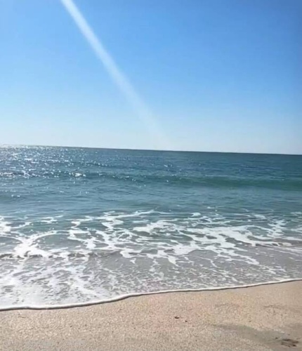 80 Palm Ave, Venice, Florida 34285, 1 Bedroom Bedrooms, ,1 BathroomBathrooms,Mobile/manufactured,For Sale,Palm Ave,11732148