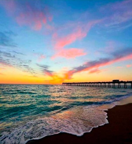 80 Palm Ave, Venice, Florida 34285, 1 Bedroom Bedrooms, ,1 BathroomBathrooms,Mobile/manufactured,For Sale,Palm Ave,11732148