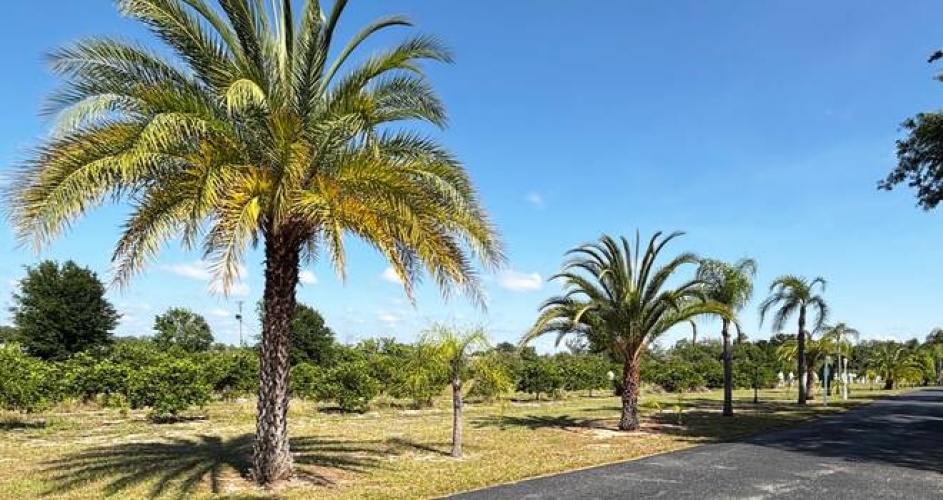 2930 Cactus Lane, Sebring, Florida 33870, 2 Bedrooms Bedrooms, ,2 BathroomsBathrooms,Mobile/manufactured,For Sale,Cactus Lane,11732614