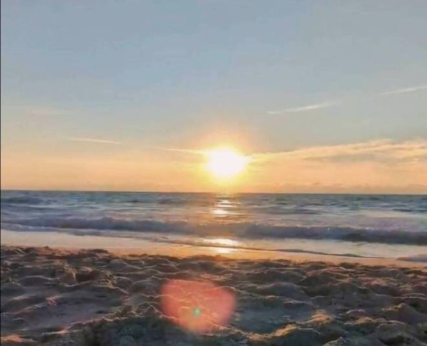 100 Circle Drive, Nokomis, Florida 34275, 1 Bedroom Bedrooms, ,1 BathroomBathrooms,Mobile/manufactured,For Sale,Circle Drive,12024357