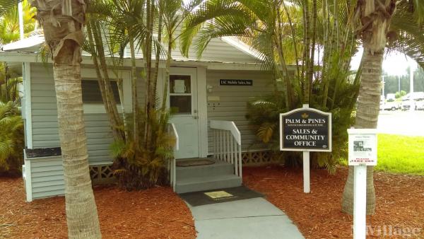 Nokomis, Florida, ,10476158